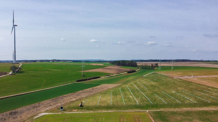 Construction work on the new solar park began in February with the ramming of the specially coated posts of the mounting system. - © Windpower
