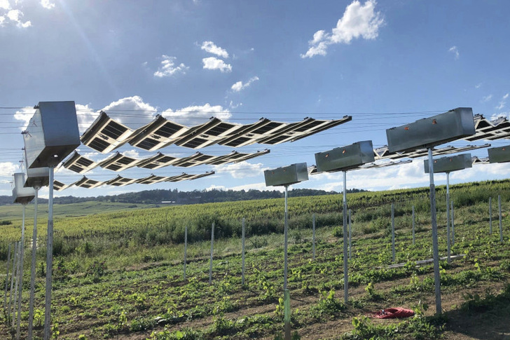 The modules protect the young vines from too much sun and drought. When the wind blows, they move into the protective housing. - © SBP Sonne