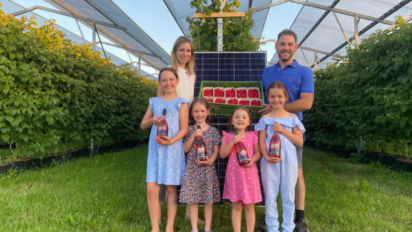 Farmer Johann Deix only has some of his berries under the foil tunnel. The others benefit from the advantages of a semi-transparent solar system.