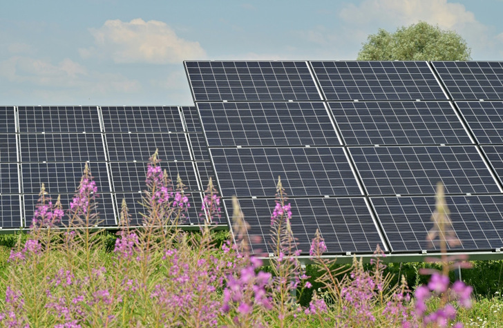 The electricity of the planned 229 MW St. George solar park in Bulgaria will be sold via long-term PPAs.