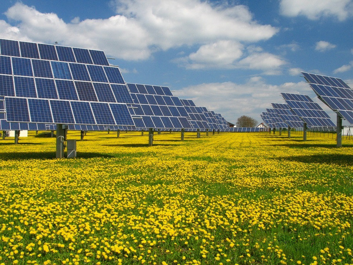 PV trackers in Czech – now the government wants to cut the funding retroactively.
