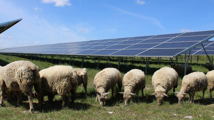 Agri-PV plays a key role in the transition to regenerative agriculture. - © Baywa r.e.