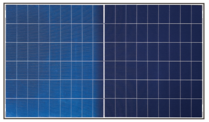 Winaico presents the new Topcon solar module in Amsterdam.