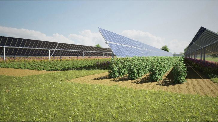 On mainland Europe a lot of research on agri-PV has done. Now UK should chatch up.