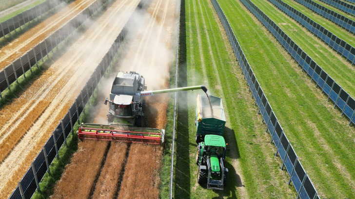 Next2Sun now offers taller two-module systems for wider row spacing. - © Next2Sun