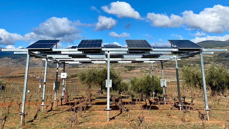 Modules up top, sensors below – DLR researchers are using this system to measure the impact of agri-PV on viticulture.