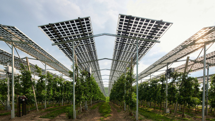 Sun for the panels, shade for the crops – participants can also visit the agri-PV site in Kressborn in southern Germany.