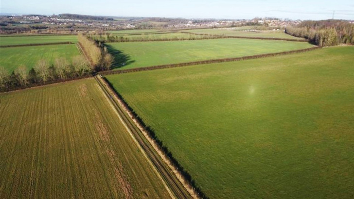 From empty field to intersecting futures – solar arrays and ecosystems will soon share this space.