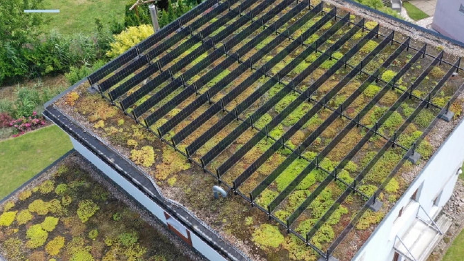 Photosynthesis meets photovoltaics on the modern rooftop 