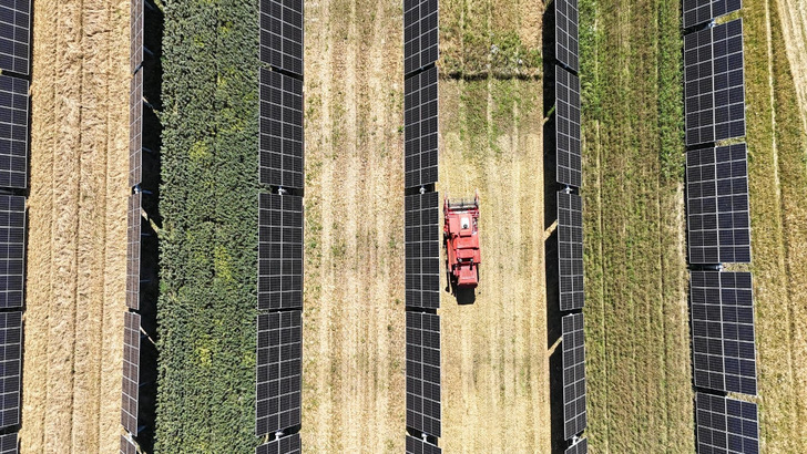 Sun, crops and machinery – the full Sicilian set menu as agri-PV booms in Italy