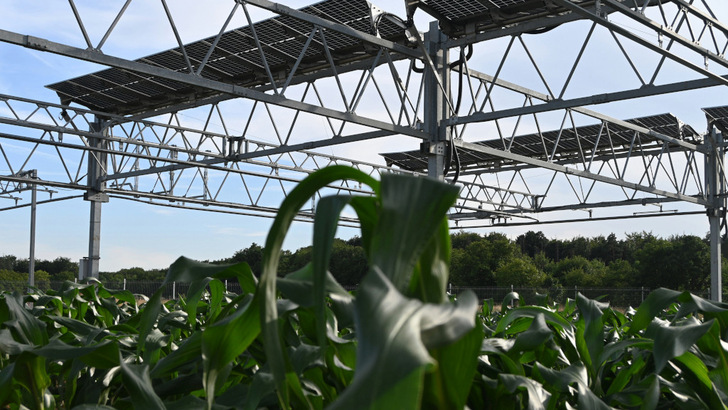 Agriculture and photovoltaics standing by for drone support – agents must be versatile without contaminating plants or soils