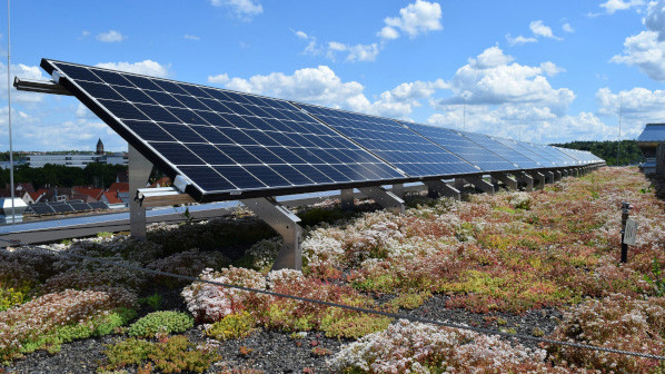 The roof of the future, photosynthesising in two languages