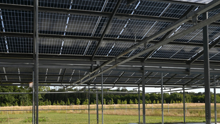 Tall pile-driven supports carry the modules well clear of the working area