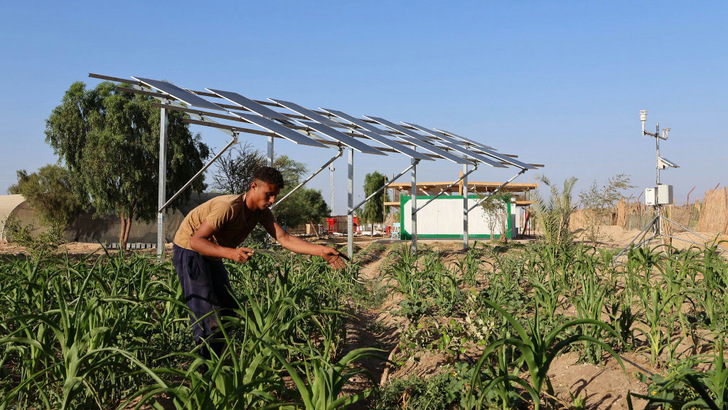 With the project in Egypt, the partners aim to improve farming in arid desert regions while producing clean electricity at the same time.