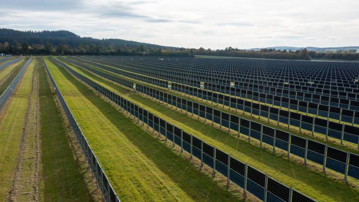 The vertical mounting of bifacial modules means the plant generates almost no midday peak