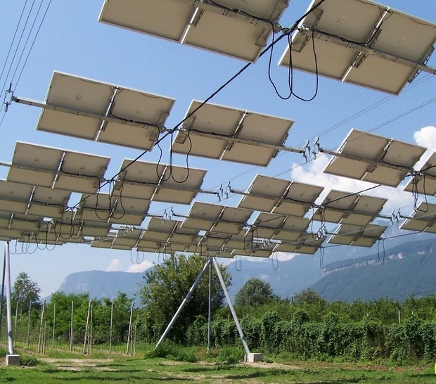 Pilot agrophotovoltaic installation in South Tyrol with a rope system.