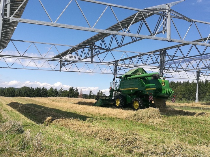 The first grain harvest of the APV-system is being gathered. - © Hofgemeinschaft Heggelbach
