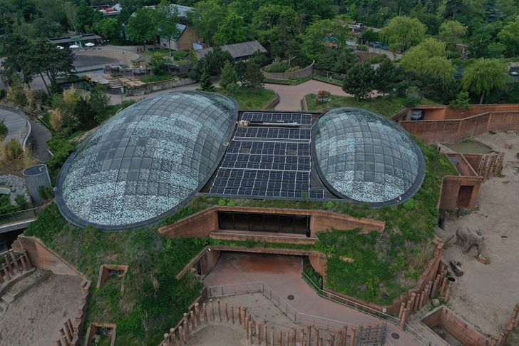 Copenhagen ZOO has installed high-performance solar systems using Q.PEAK DUO solar modules from Q CELLS atop the zoo's farm buildings. - © Q CELLS
