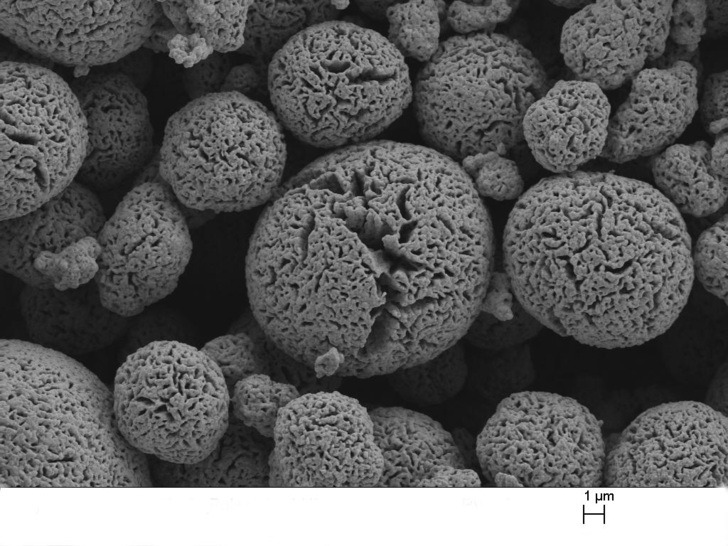 SEM image of the raised-surface nickel electrode showing individual particles' discernible nanostructure. - © ZSW/Olaf Böse
