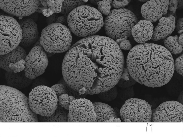SEM image of the raised-surface nickel electrode showing individual particles' discernible nanostructure.