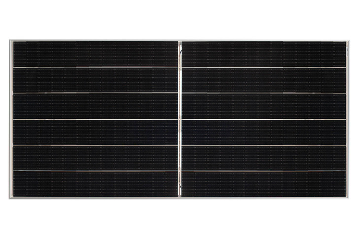 Is it an Eagle? Is it a Cheetah? No, it’s a Tiger!