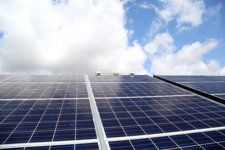  Solar Park Vlagtwedde is also creating employment opportunities and supporting biodiversity in the local area.