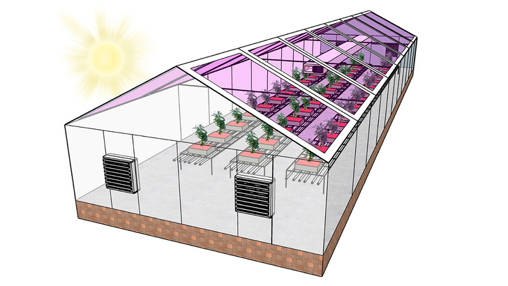 Putting that part of the light spectrum that plants cannot process to productive use. - © NC State
