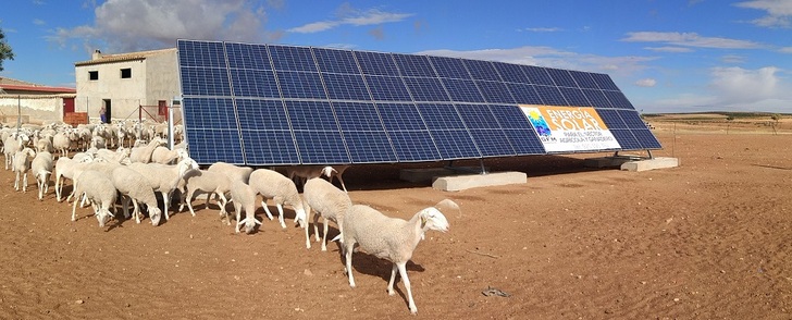A single-axis Deger Tracker S60H with a capacity of 6.5 kW optimizes self-suffiency of a sheep farm in Madrilejos, Toledo province.