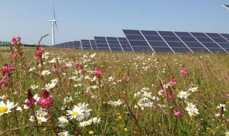 At the north Kent coast Cleve Hill Solar Park plans to integrate a comprehensive habitat management. - © STA UK
