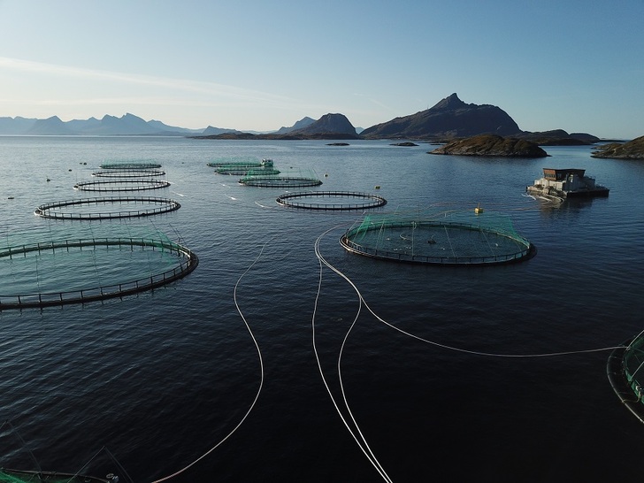 Kvarøy salmon farm off the island of Selsøyvær in the Norwegian Sea.