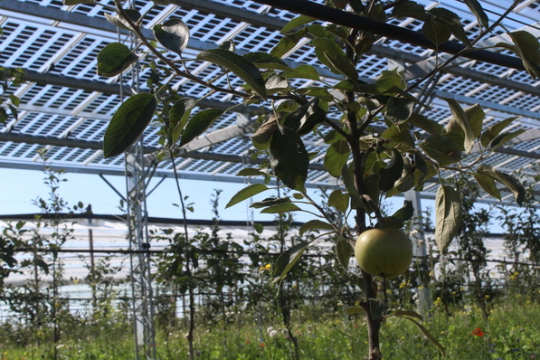 Sustainable Solar Europe is taking place 27 October 2022.