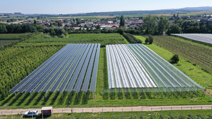 For rapid expansion, all land options must be considered.