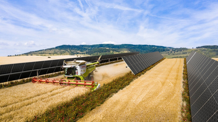 Agri-PV systems enable agriculture and energy production on the same area.