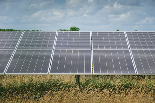 Agri-PV is to be further developed for Nordic countries such as Finland.