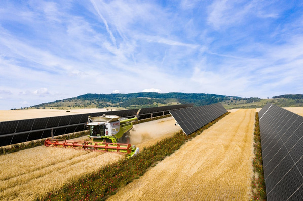  The Alhendín solar park combines renewable energy, agriculture and biodiversity.