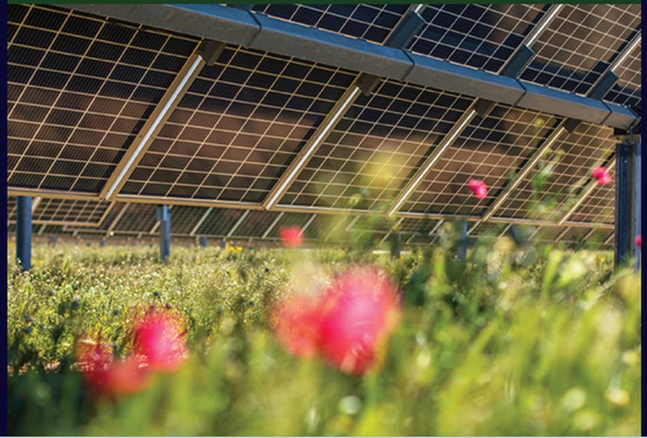 Title photo of the new comprehensive Solar Sustainability Report of SolarPower Europe.