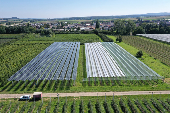 Agri-PV pilot and testing installation in Gelsdorf/Germany.