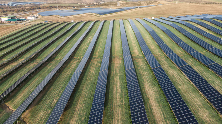 Around ten per cent of the solar park is designed so that agricultural machinery can drive between the solar modules.