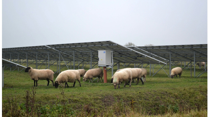 In Italy, the combination with agricultural use is the only way to build solar systems on arable and grassland of any kind.