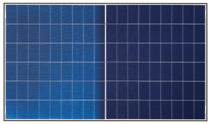 Winaico presents the new Topcon solar module in Amsterdam.