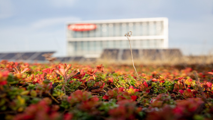 The solar industry has a particular responsibility when it comes to sustainability.