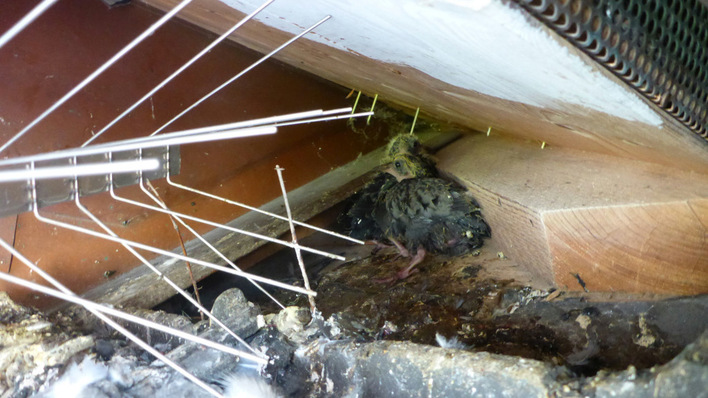 A right mess - not what you imagined at the beginning of your solar journey.