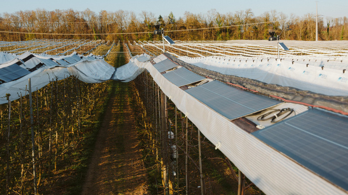 The lightweight modules are integrated in the weather protection system.