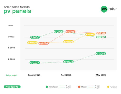 Up up up – monofacial P-type solar modules (shown in green) saw the sharpest price increase.