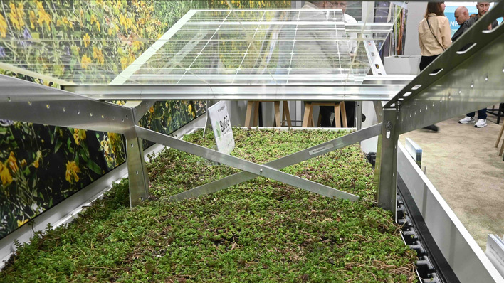 Green roof assembly – the solar base plates is topped with sedum.