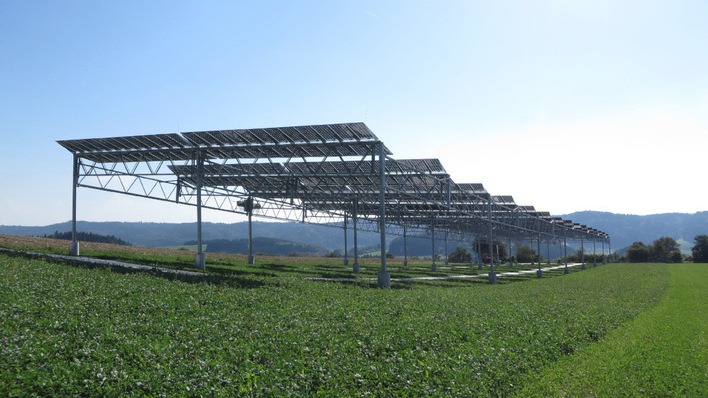 Shade on top, crops below – agrivoltaics in action