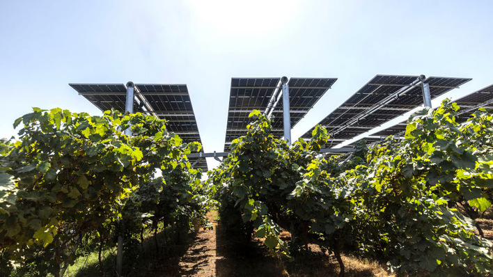 With Solargik’s new assistant, operators now receive clear recommendations. The crops underneath manage themselves.