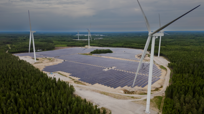 Turbines stand guard over a forest solar park.
