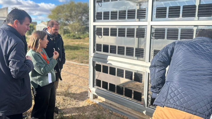 Participants visiting an IMIDA agrivoltaic facility in La Alberca, Murcia