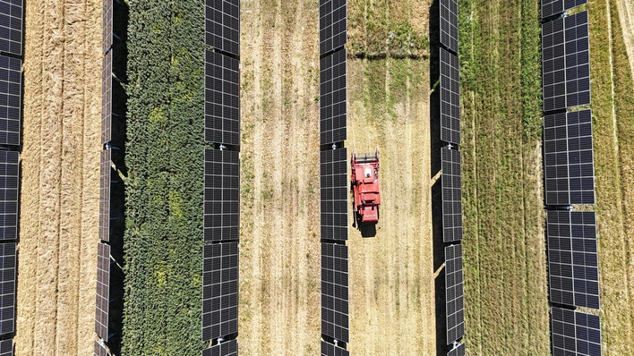 Farming meets photovoltaics at Flakkebjerg Agri-PV test centre